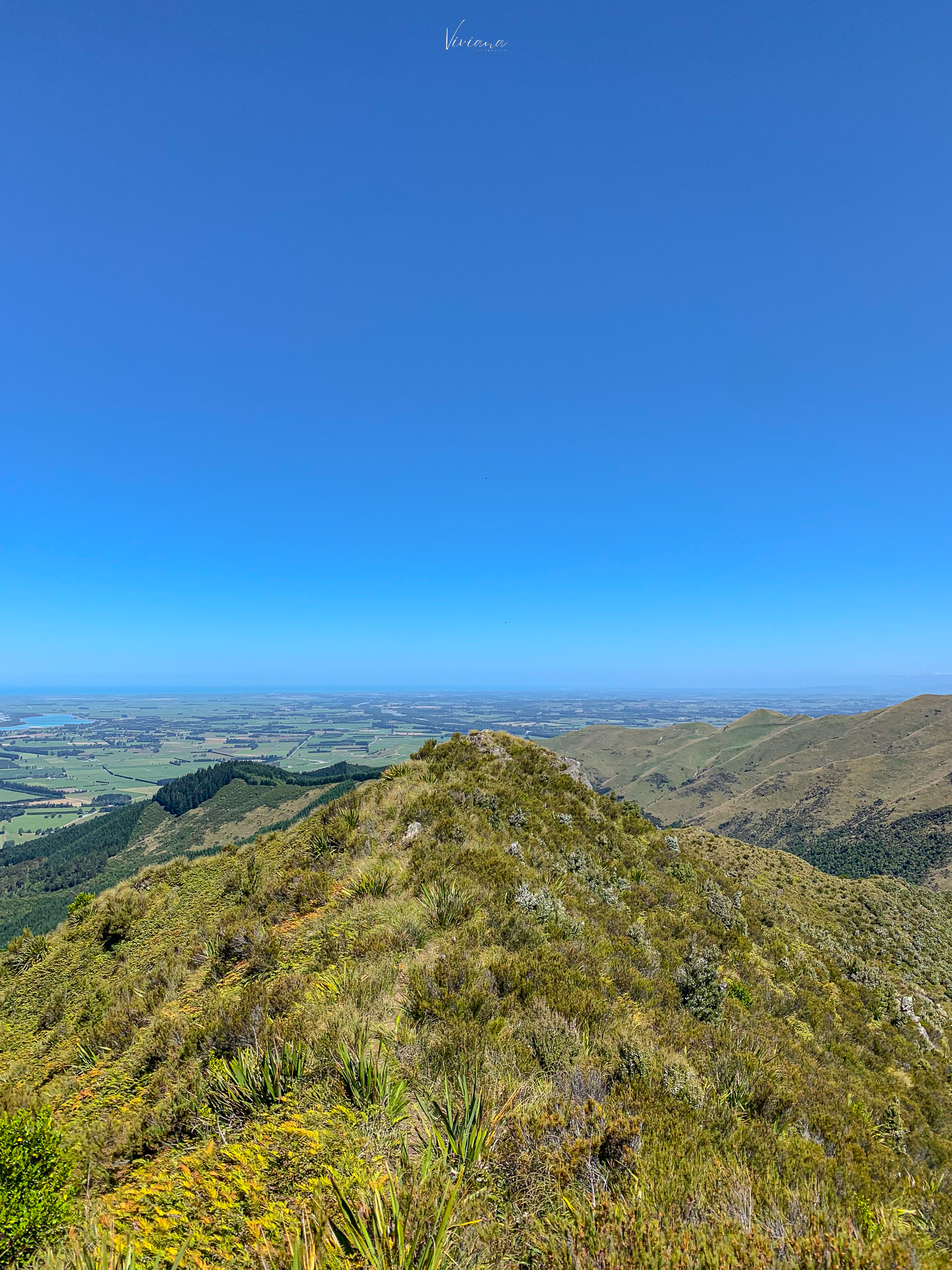 紐西蘭|到底還要爬多久?Little Mt Peel 步道攻略、一覽坎特伯雷平原 - 第28張圖 紐西蘭步道 little mt peel