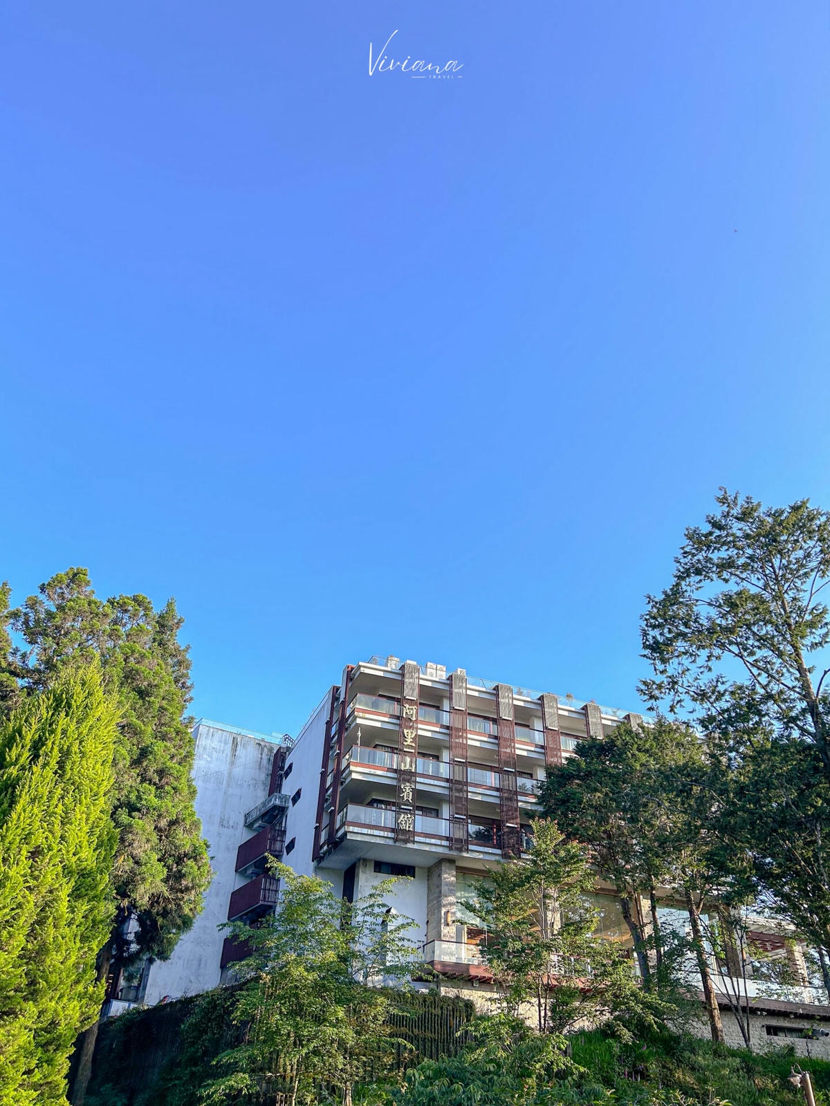 臺灣|嘉義|開箱百年歷史的阿里山賓館|別具質感的神木賓館 - 第15張圖 阿里山賓館_alishan_hotel
