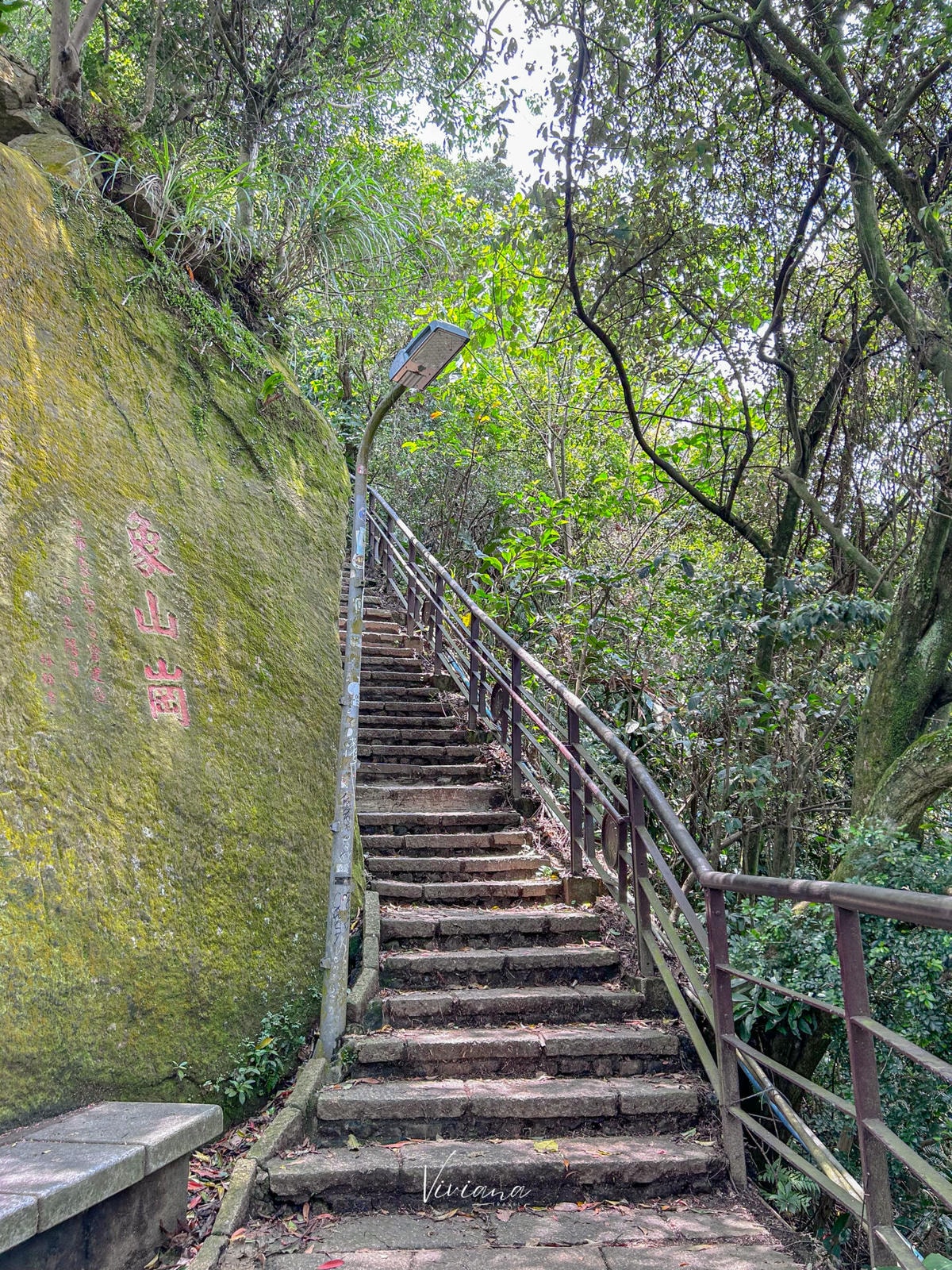 象山步道_MountElephant_hiking_trail