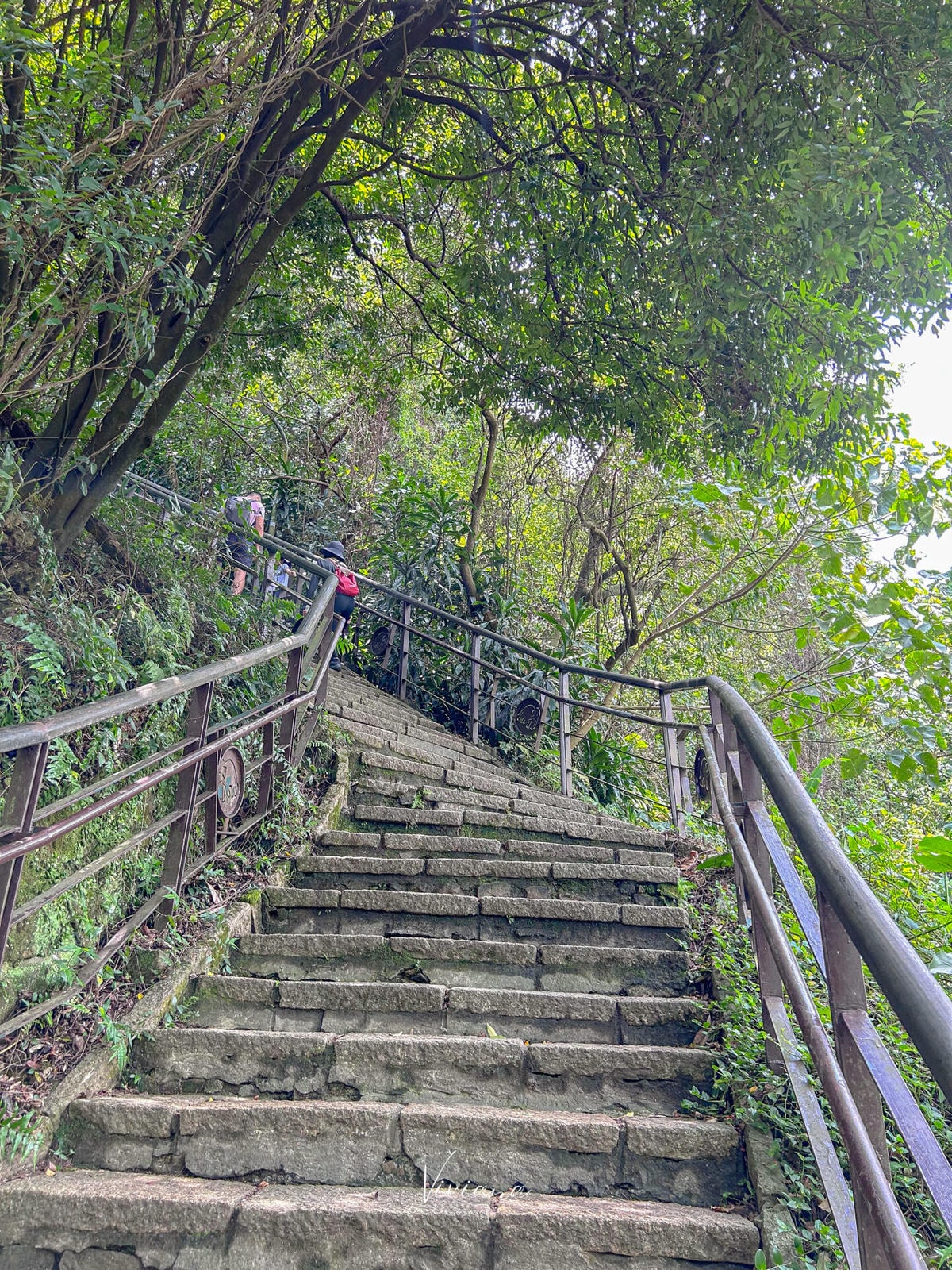 象山步道_MountElephant_hiking_trail