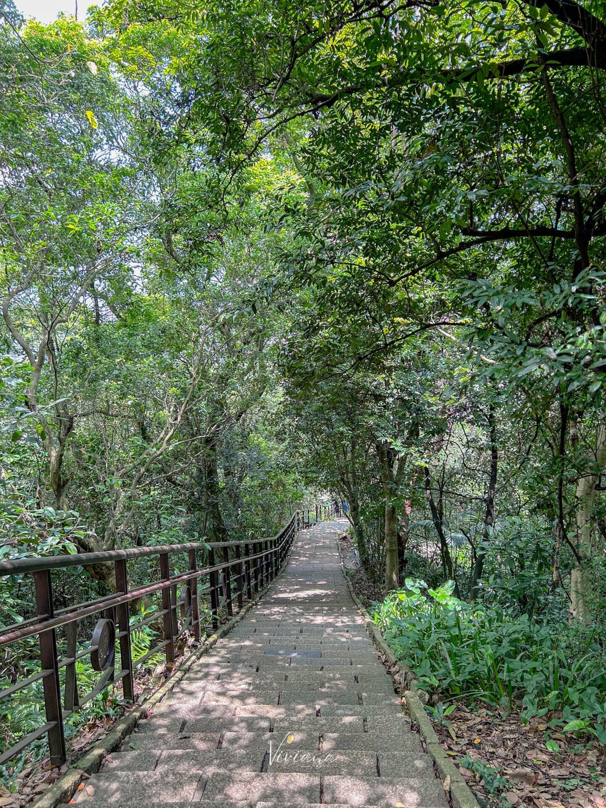 象山步道_MountElephant_hiking_trail