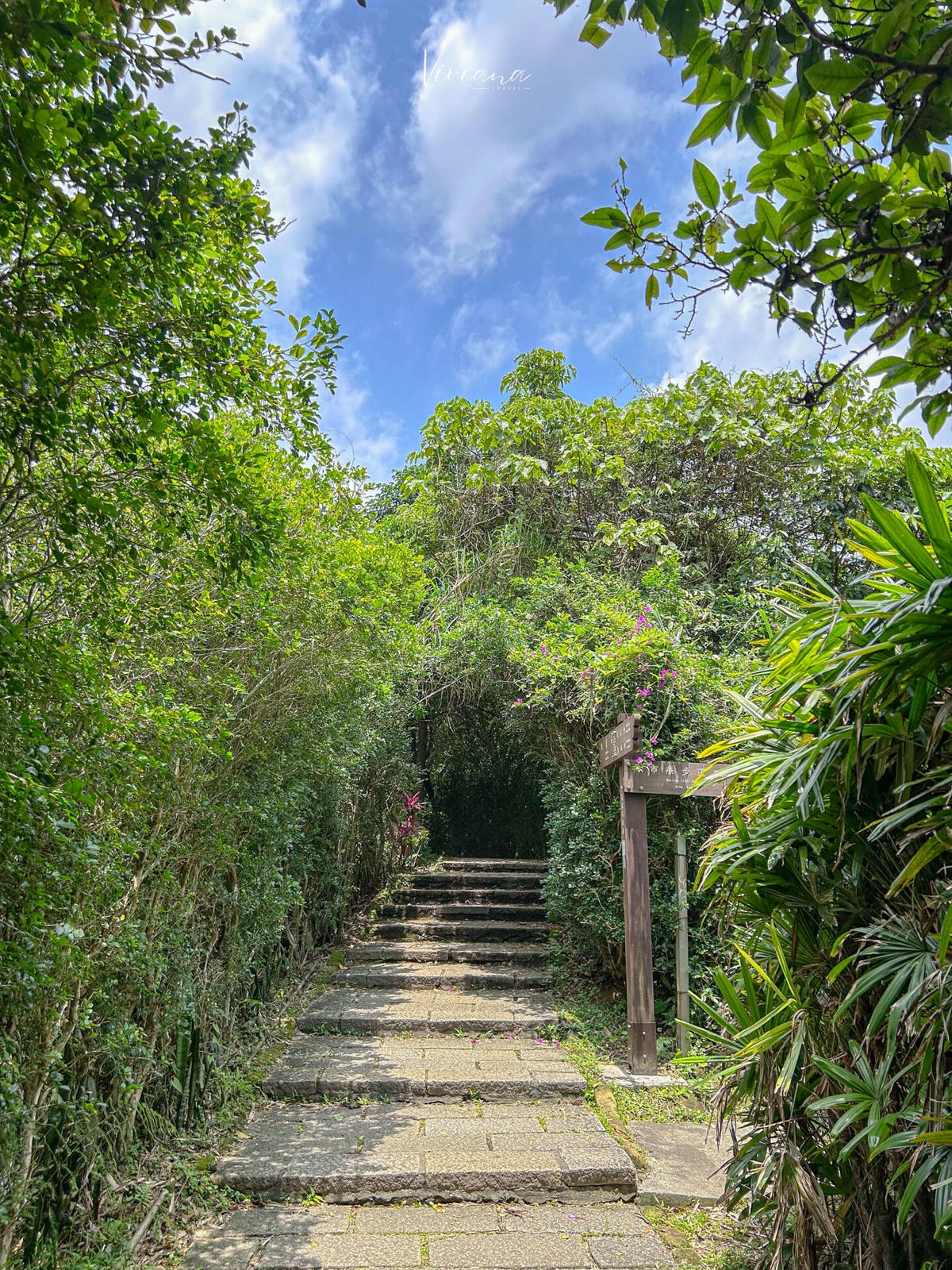 象山步道_MountElephant_hiking_trail