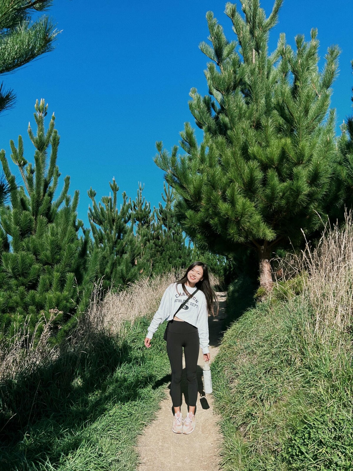 紐西蘭|基督城最好玩的公園 Christchurch Adventure Park - 第3張圖 基督城探險公園 Christchurch Adventure Park