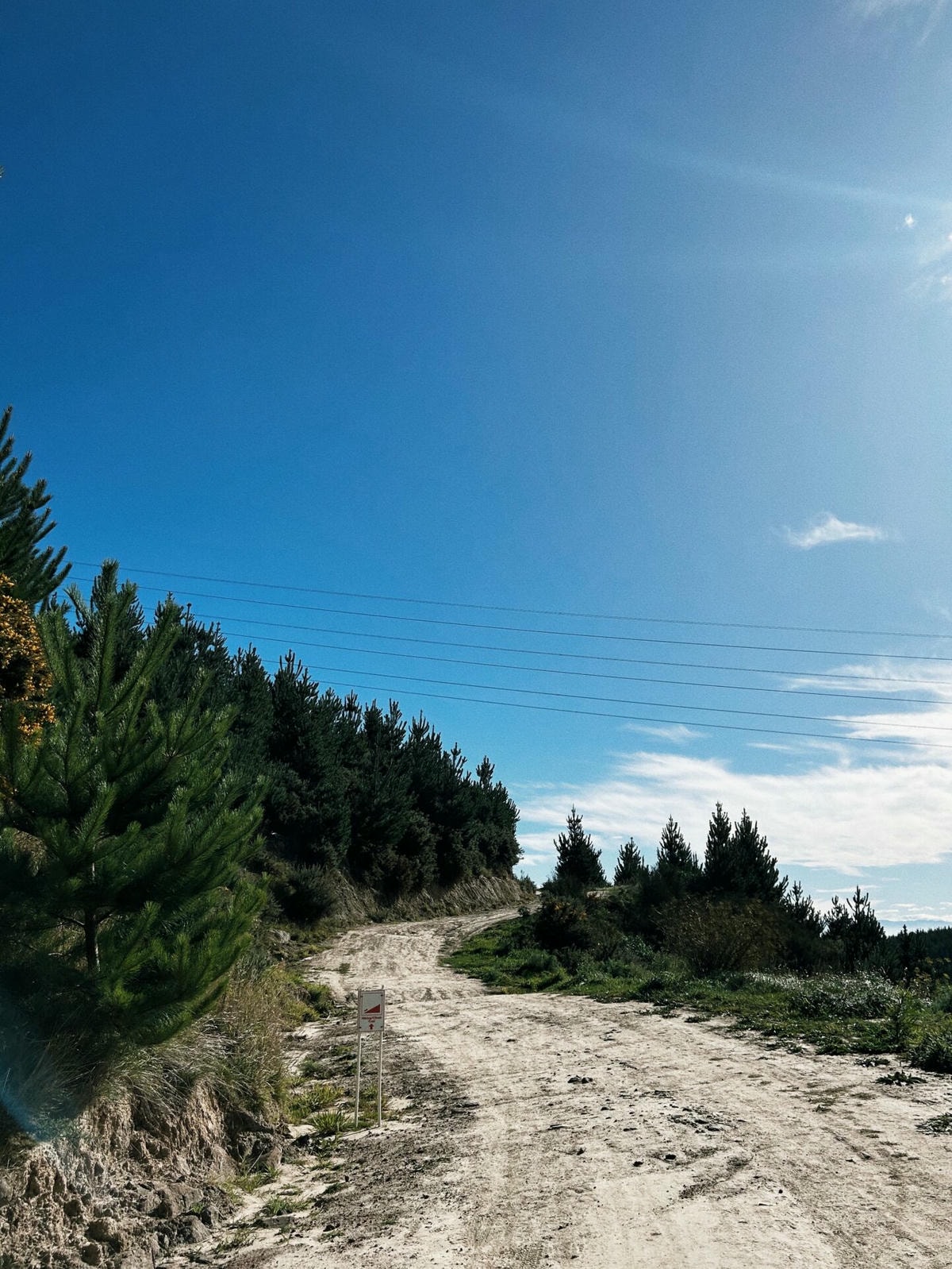 紐西蘭|基督城最好玩的公園 Christchurch Adventure Park - 第10張圖 基督城探險公園 Christchurch Adventure Park