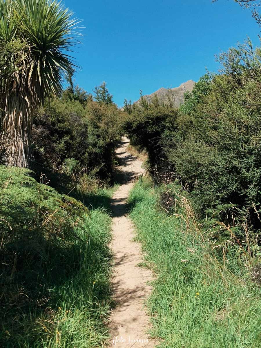 Isthmus Peak