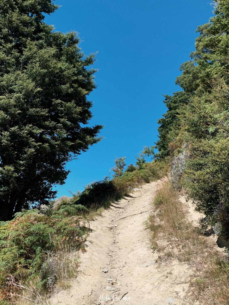 Isthmus Peak