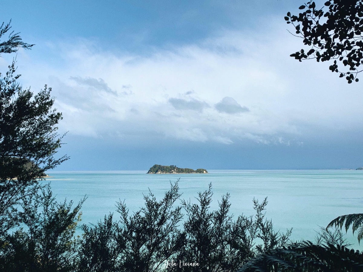 紐西蘭|南島|Abel Tasman Coast Track – 絕美海景的偉大步道 - 第6張圖 Abel Tasman Coastal Track 亞伯塔斯曼步道