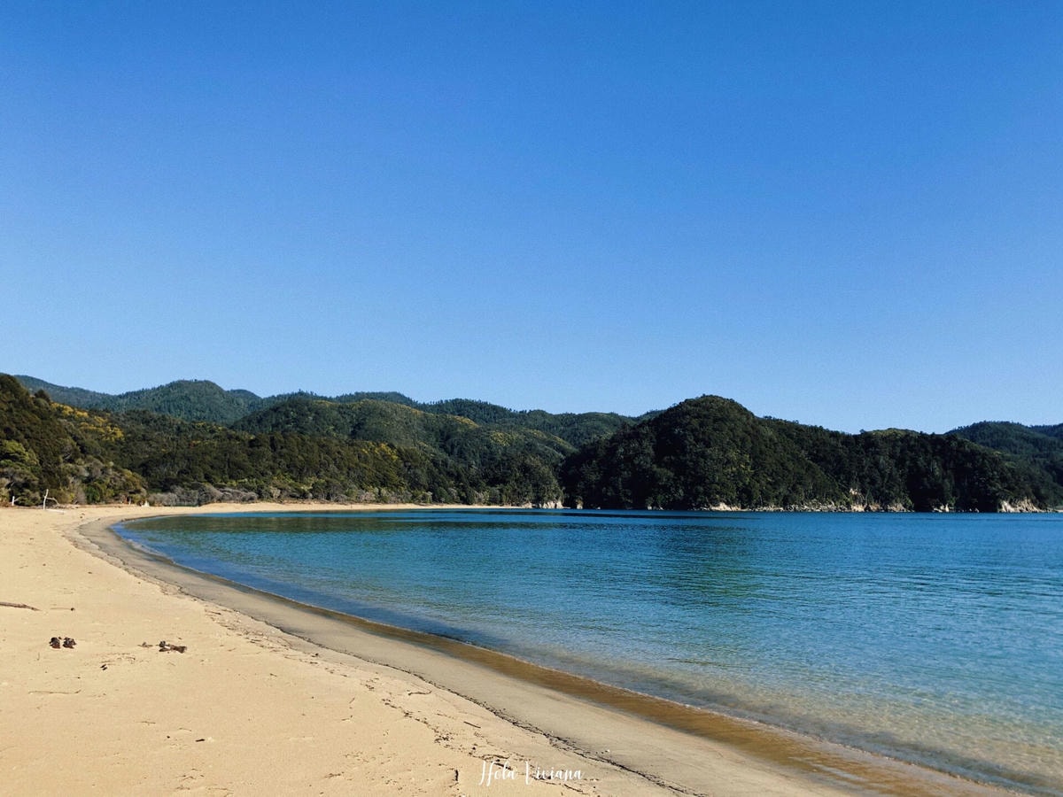 紐西蘭|南島|Abel Tasman Coast Track – 絕美海景的偉大步道 - 第9張圖 Abel Tasman Coastal Track 亞伯塔斯曼步道