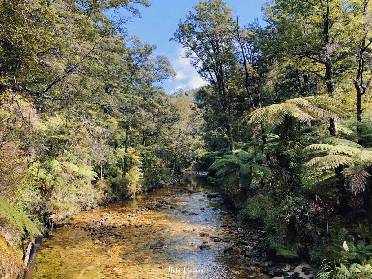 紐西蘭|南島|Abel Tasman Coast Track – 絕美海景的偉大步道 - 第17張圖 Abel Tasman Coastal Track 亞伯塔斯曼步道