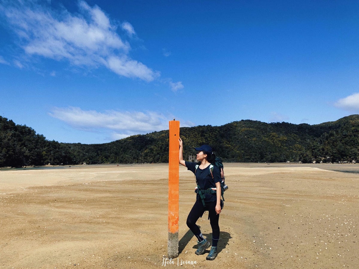 紐西蘭|南島|Abel Tasman Coast Track – 絕美海景的偉大步道 - 第19張圖 Abel Tasman Coastal Track 亞伯塔斯曼步道