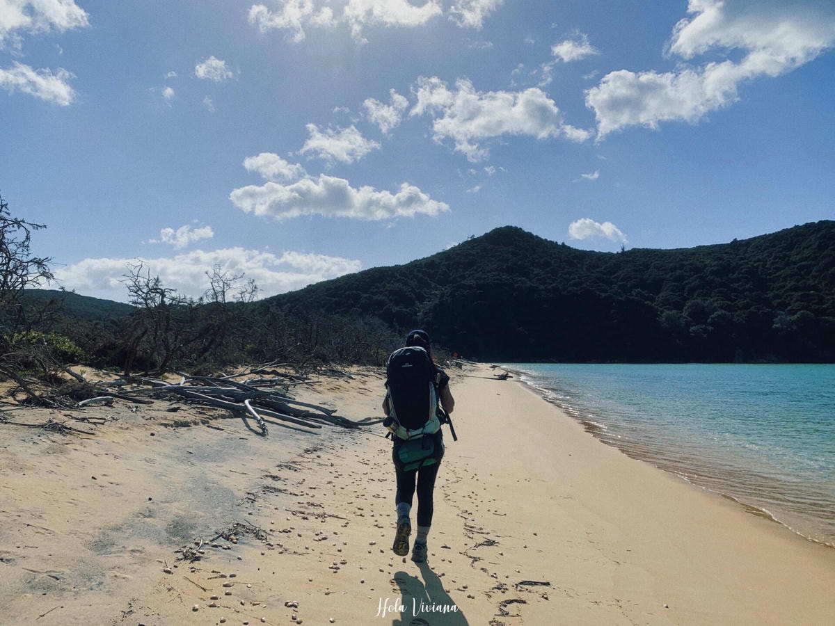 紐西蘭|南島|Abel Tasman Coast Track – 絕美海景的偉大步道 - 第25張圖 Abel Tasman Coastal Track 亞伯塔斯曼步道