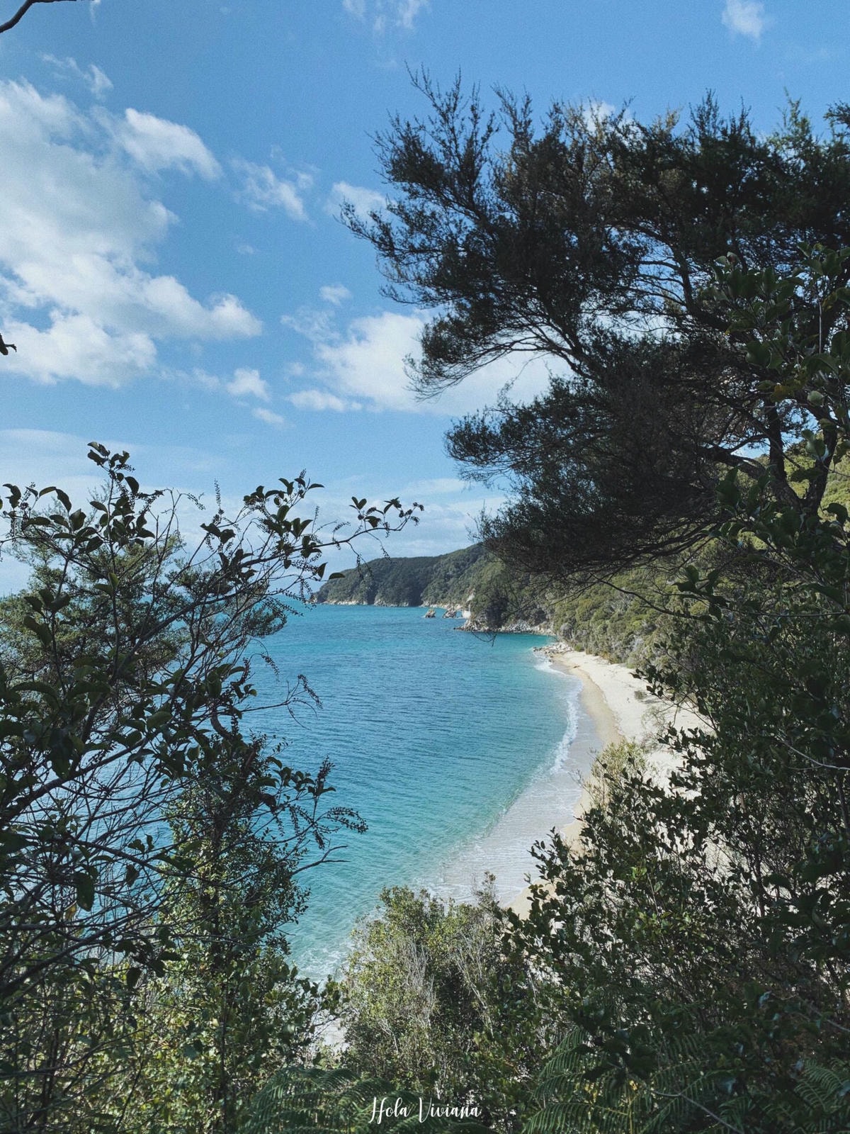紐西蘭|南島|Abel Tasman Coast Track – 絕美海景的偉大步道 - 第24張圖 Abel Tasman Coastal Track 亞伯塔斯曼步道