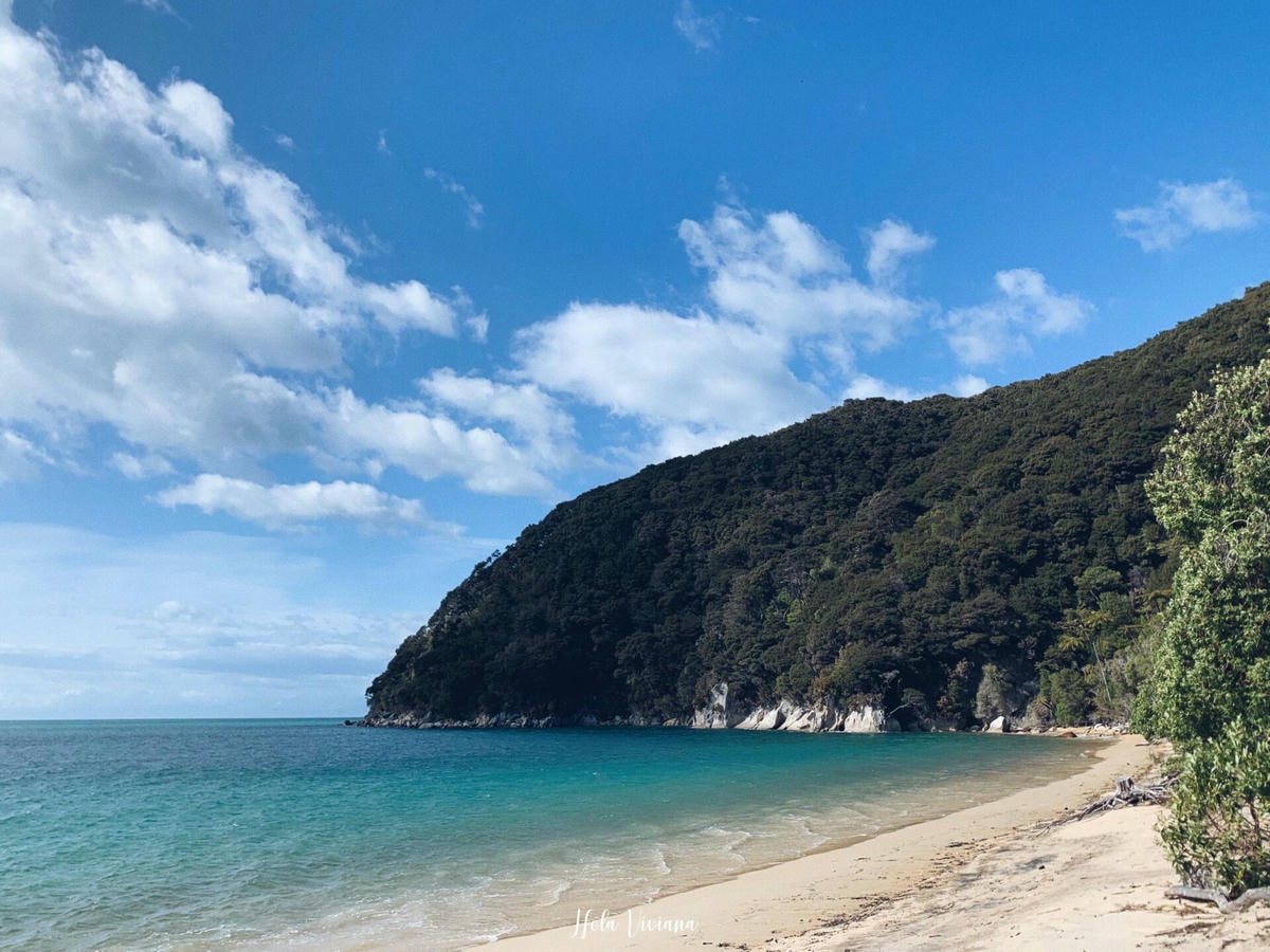 紐西蘭|南島|Abel Tasman Coast Track – 絕美海景的偉大步道 - 第26張圖 Abel Tasman Coastal Track 亞伯塔斯曼步道