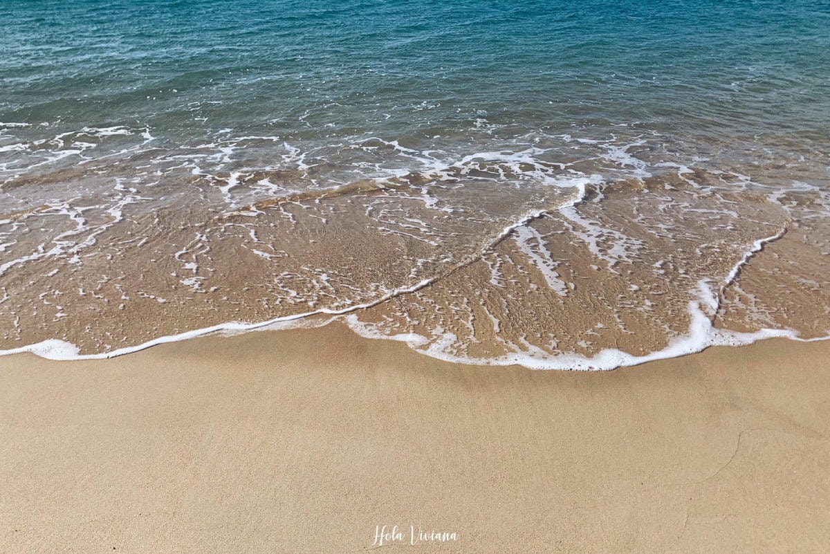 紐西蘭|南島|Abel Tasman Coast Track – 絕美海景的偉大步道 - 第28張圖 Abel Tasman Coastal Track 亞伯塔斯曼步道
