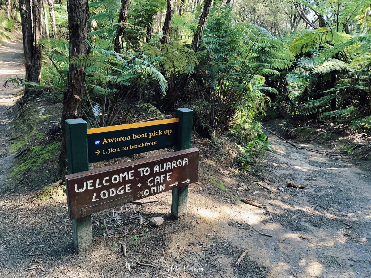 紐西蘭|南島|Abel Tasman Coast Track – 絕美海景的偉大步道 - 第30張圖 Abel Tasman Coastal Track 亞伯塔斯曼步道