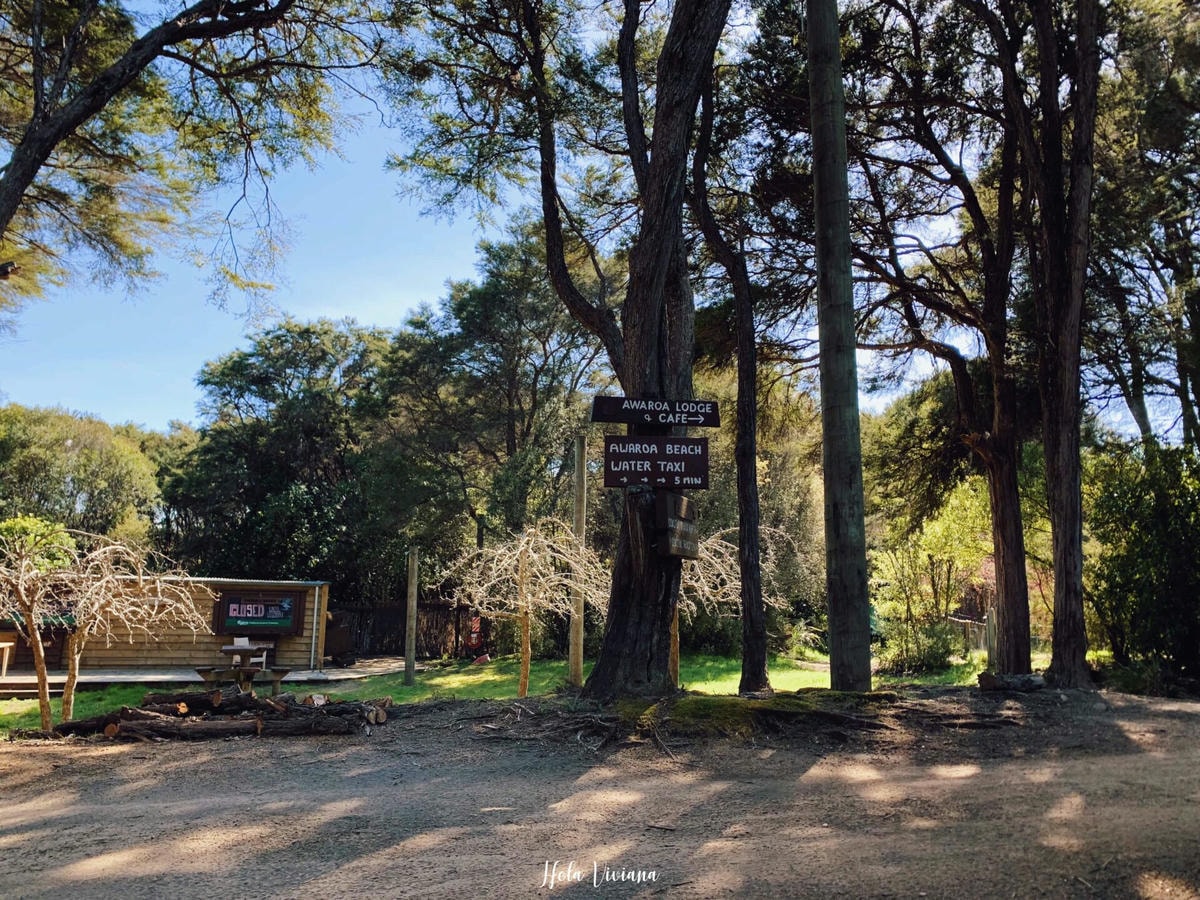 紐西蘭|南島|Abel Tasman Coast Track – 絕美海景的偉大步道 - 第31張圖 Abel Tasman Coastal Track 亞伯塔斯曼步道