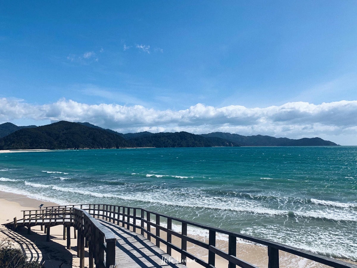 紐西蘭|南島|Abel Tasman Coast Track – 絕美海景的偉大步道 - 第33張圖 Abel Tasman Coastal Track 亞伯塔斯曼步道
