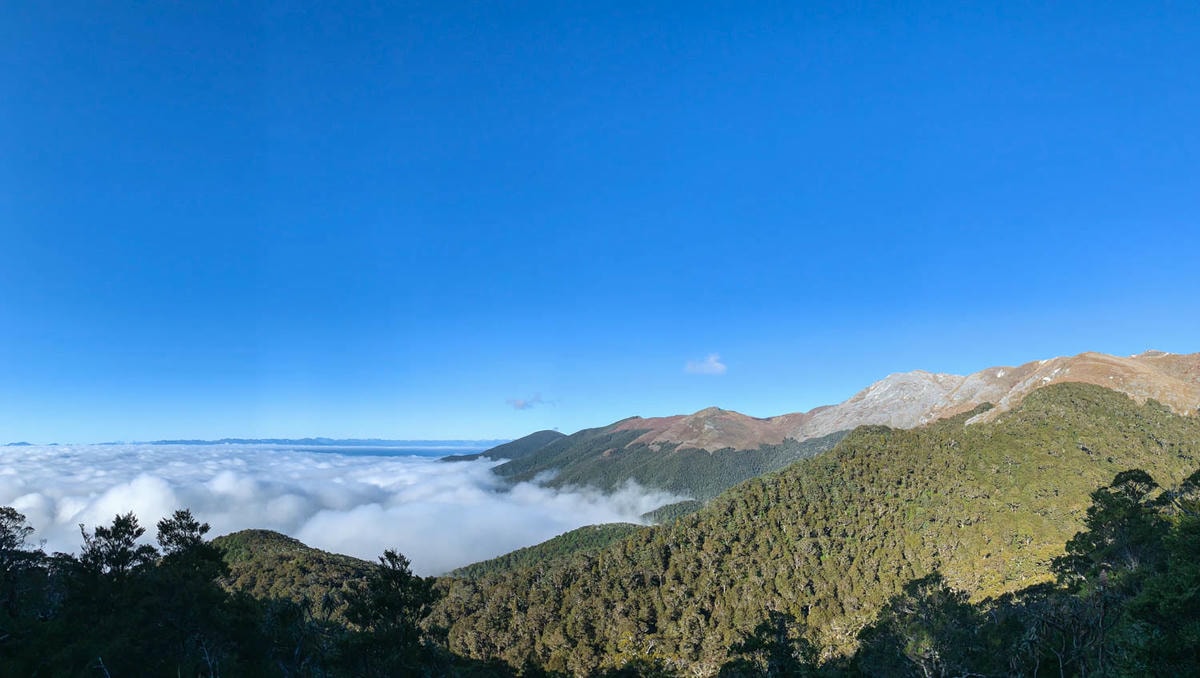 紐西蘭|南島| Mount Arthur Summit Route – Motueka 推薦健行步道 - 第3張圖 Mt Arthur
