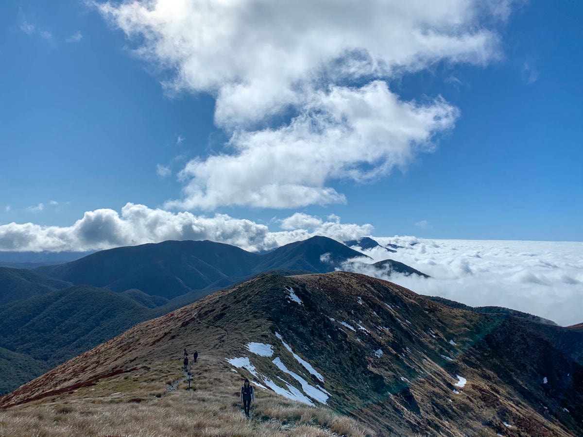 紐西蘭|南島| Mount Arthur Summit Route – Motueka 推薦健行步道 - 第5張圖 Mt Arthur