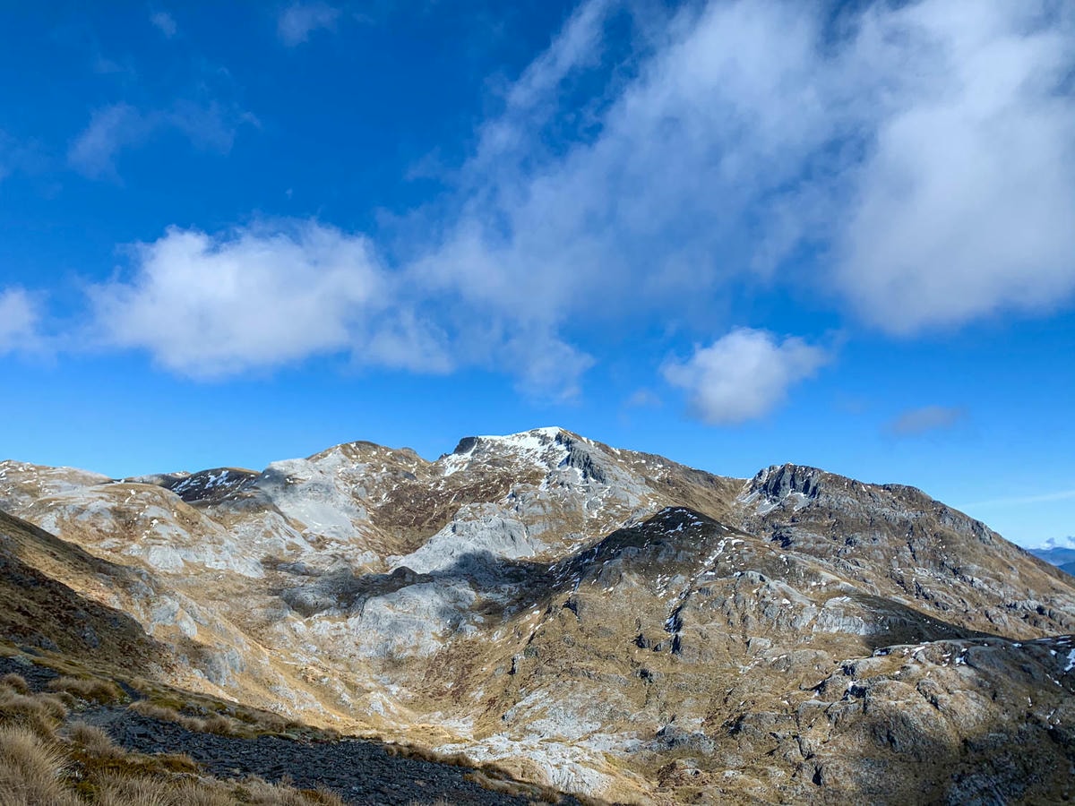 紐西蘭|南島| Mount Arthur Summit Route – Motueka 推薦健行步道 - 第6張圖 Mt Arthur