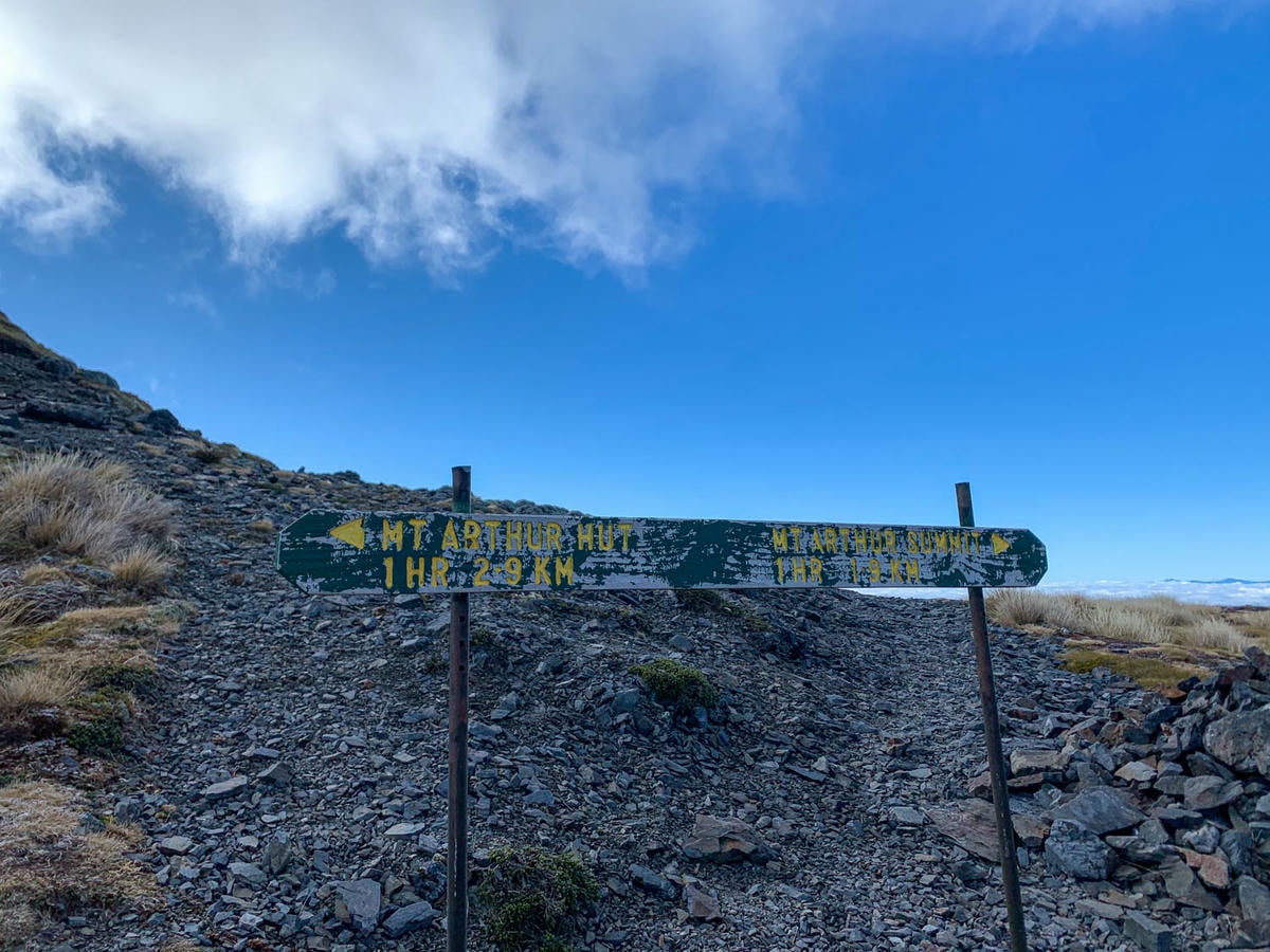 紐西蘭|南島| Mount Arthur Summit Route – Motueka 推薦健行步道 - 第7張圖 Mt Arthur