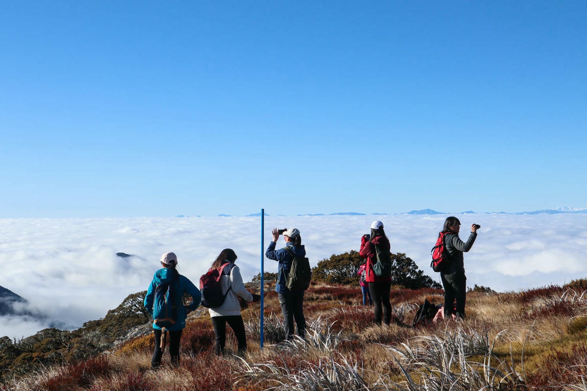 紐西蘭|南島| Mount Arthur Summit Route – Motueka 推薦健行步道 - 第2張圖 Mt Arthur