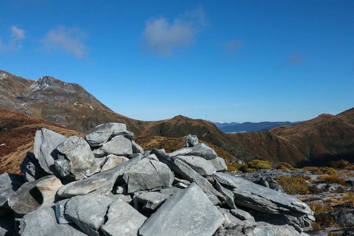 紐西蘭|南島| Mount Arthur Summit Route – Motueka 推薦健行步道 - 第9張圖 Mt Arthur