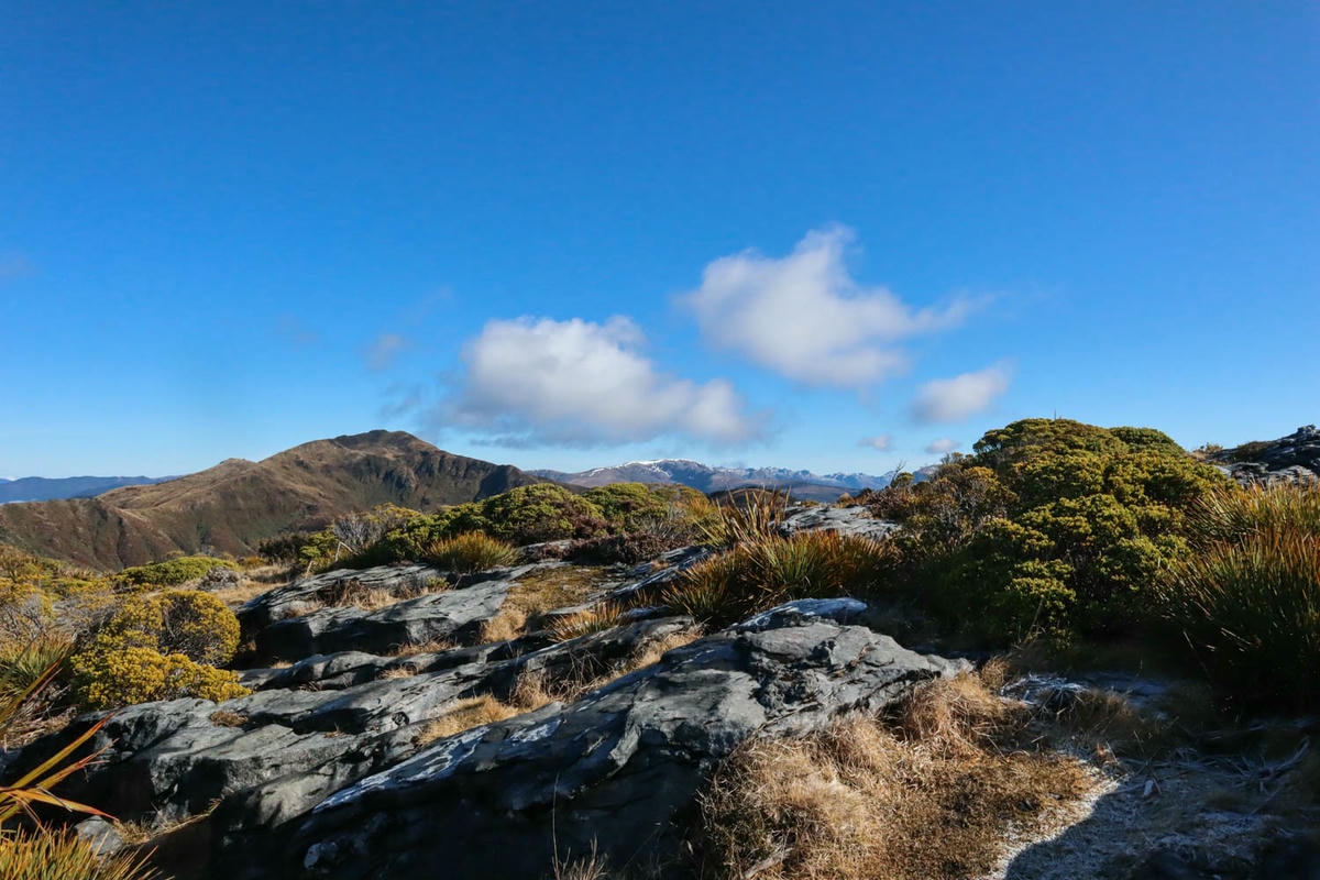 紐西蘭|南島| Mount Arthur Summit Route – Motueka 推薦健行步道 - 第10張圖 Mt Arthur