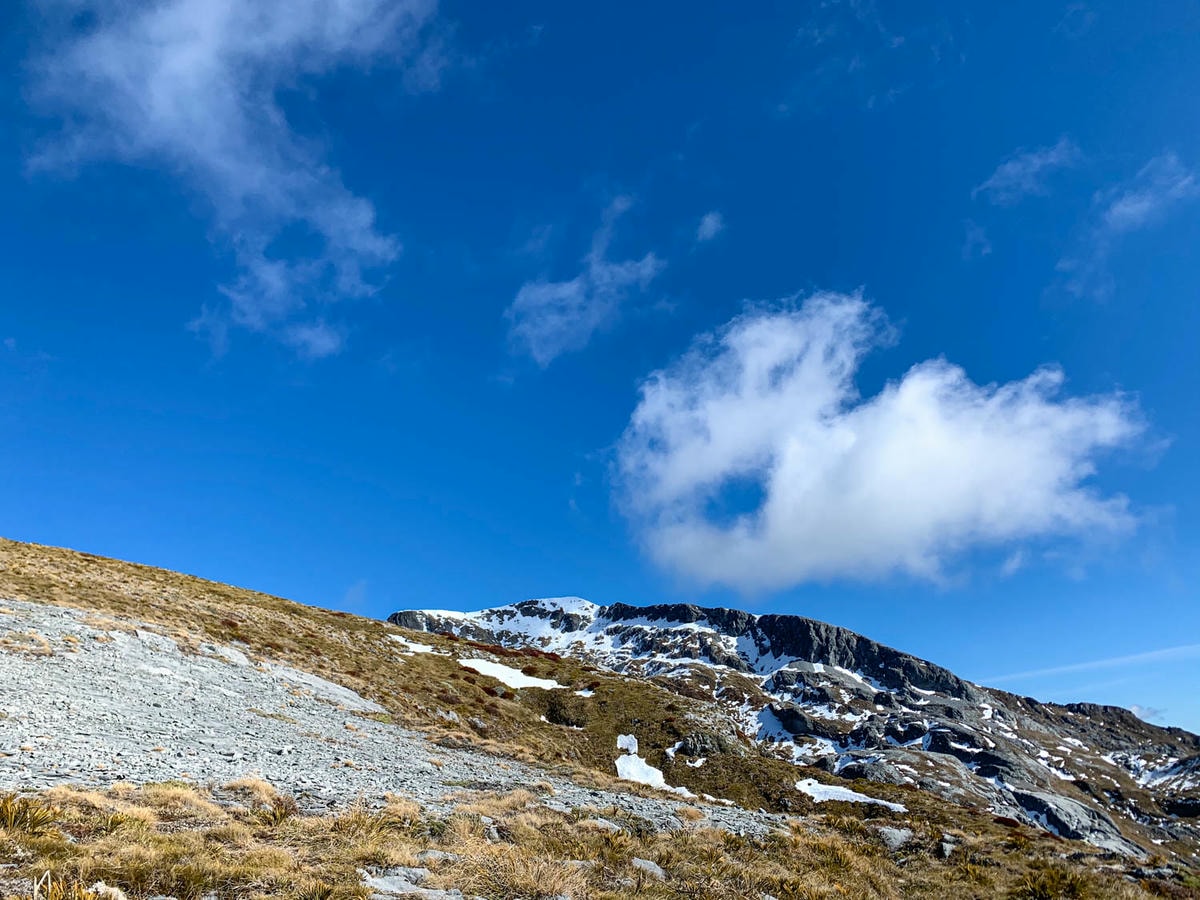 紐西蘭|南島| Mount Arthur Summit Route – Motueka 推薦健行步道 - 第12張圖 Mt Arthur