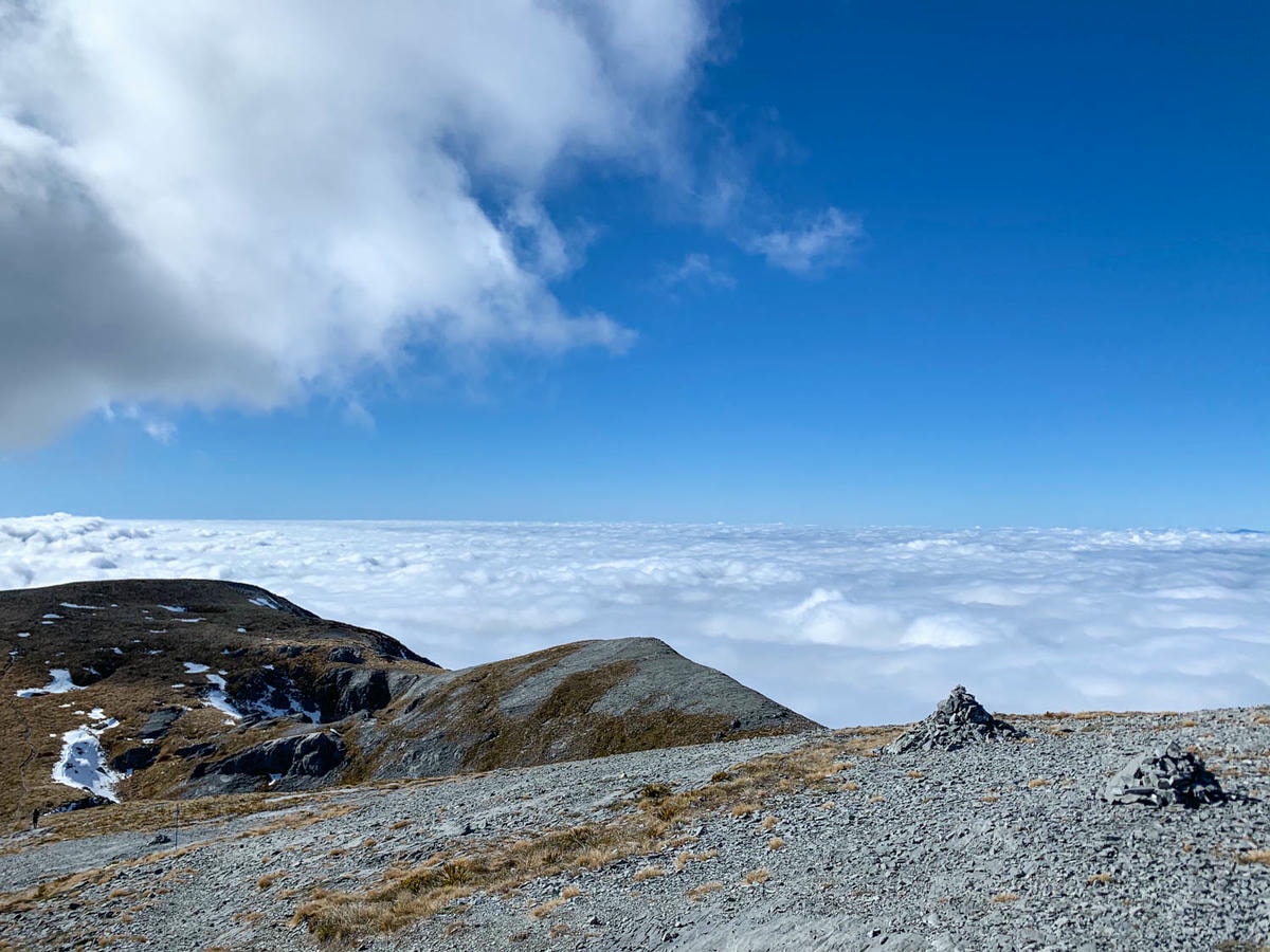 紐西蘭|南島| Mount Arthur Summit Route – Motueka 推薦健行步道 - 第13張圖 Mt Arthur