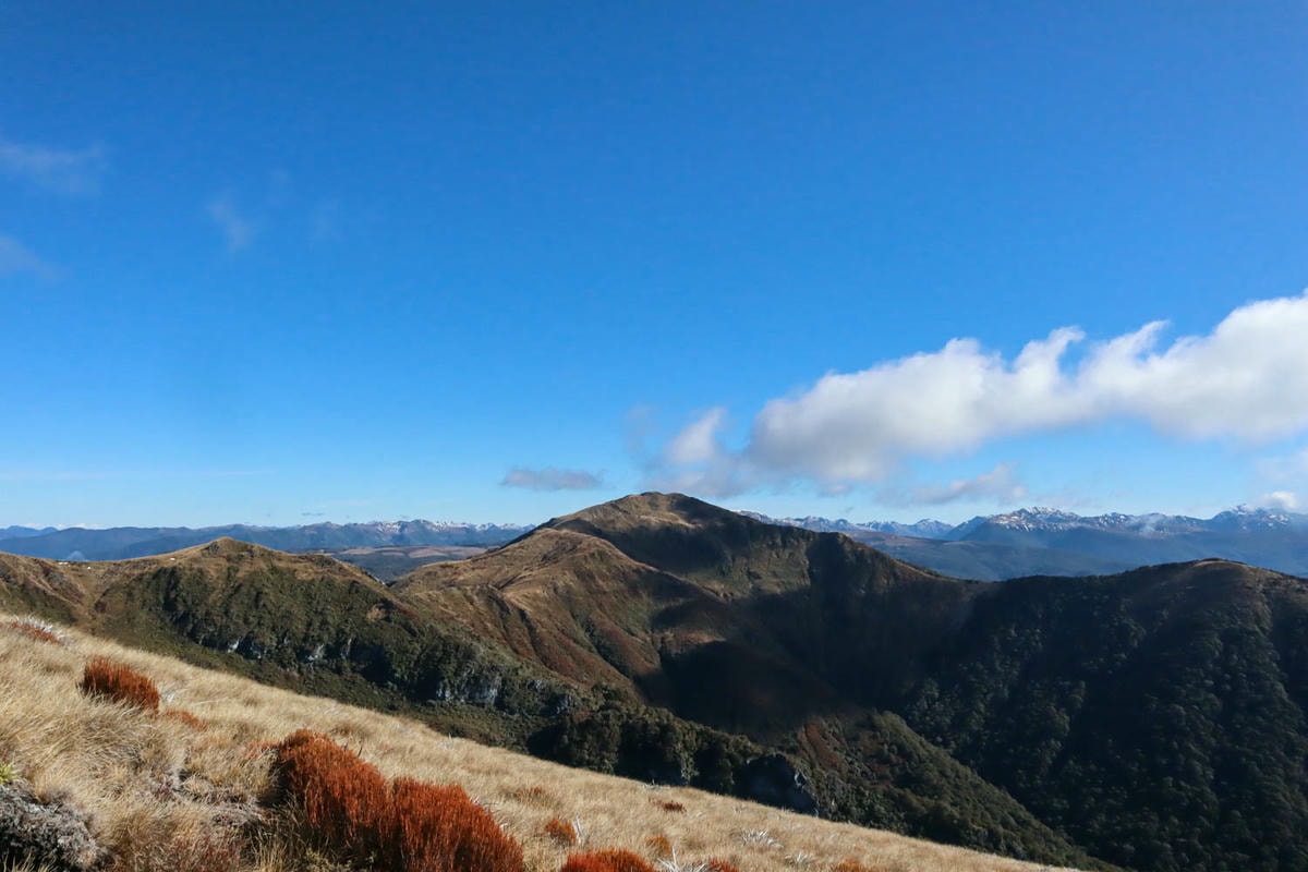 紐西蘭|南島| Mount Arthur Summit Route – Motueka 推薦健行步道 - 第4張圖 Mt Arthur