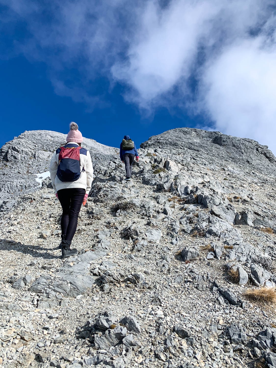 紐西蘭|南島| Mount Arthur Summit Route – Motueka 推薦健行步道 - 第15張圖 Mt Arthur