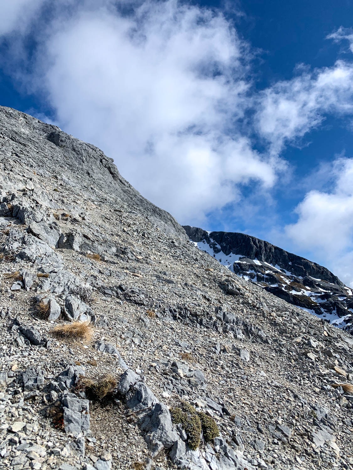 紐西蘭|南島| Mount Arthur Summit Route – Motueka 推薦健行步道 - 第14張圖 Mt Arthur