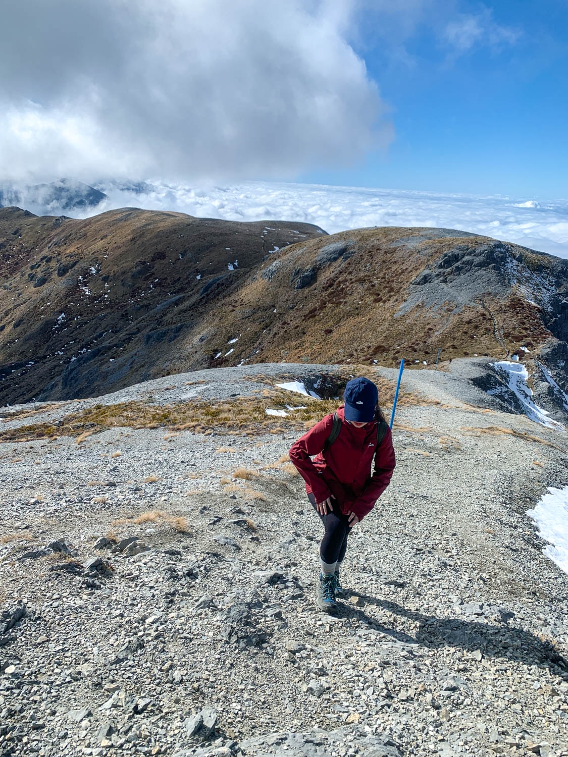 紐西蘭|南島| Mount Arthur Summit Route – Motueka 推薦健行步道 - 第16張圖 Mt Arthur