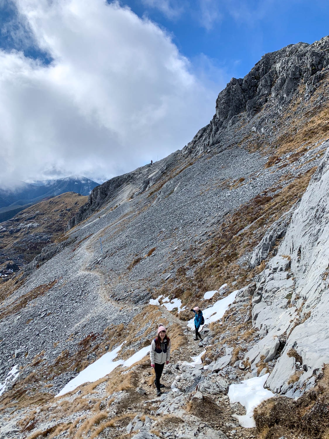 紐西蘭|南島| Mount Arthur Summit Route – Motueka 推薦健行步道 - 第17張圖 Mt Arthur