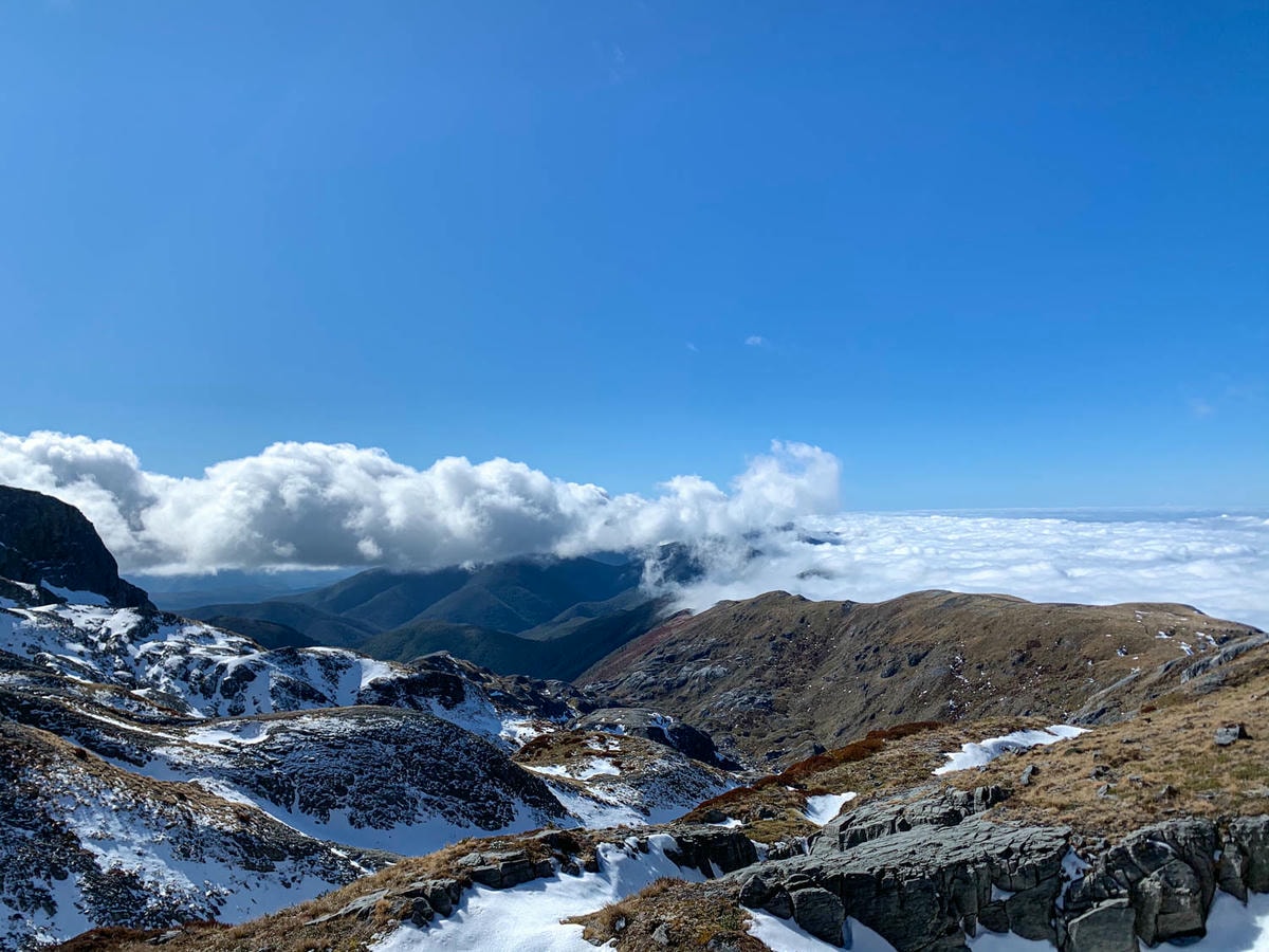紐西蘭|南島| Mount Arthur Summit Route – Motueka 推薦健行步道 - 第18張圖 Mt Arthur