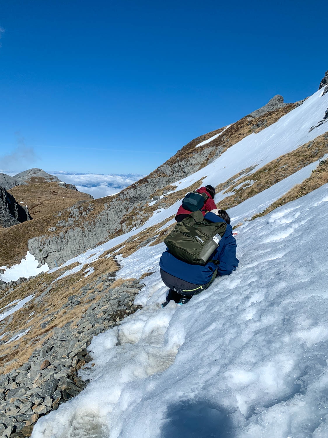 紐西蘭|南島| Mount Arthur Summit Route – Motueka 推薦健行步道 - 第19張圖 Mt Arthur