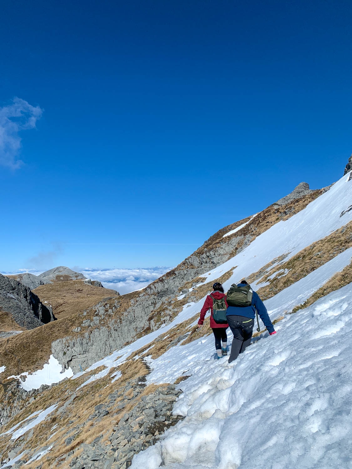 紐西蘭|南島| Mount Arthur Summit Route – Motueka 推薦健行步道 - 第20張圖 Mt Arthur