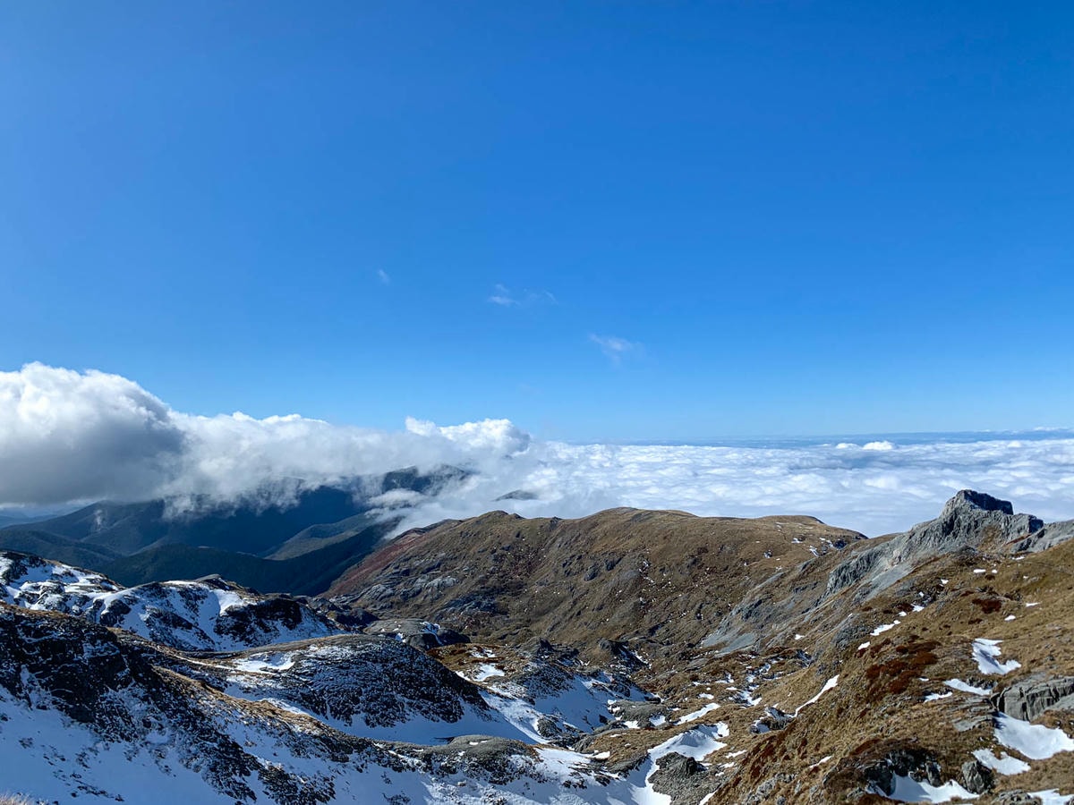 紐西蘭|南島| Mount Arthur Summit Route – Motueka 推薦健行步道 - 第22張圖 Mt Arthur
