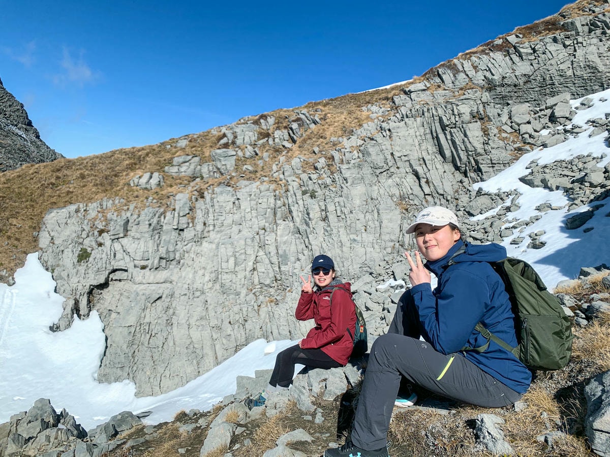 紐西蘭|南島| Mount Arthur Summit Route – Motueka 推薦健行步道 - 第21張圖 Mt Arthur