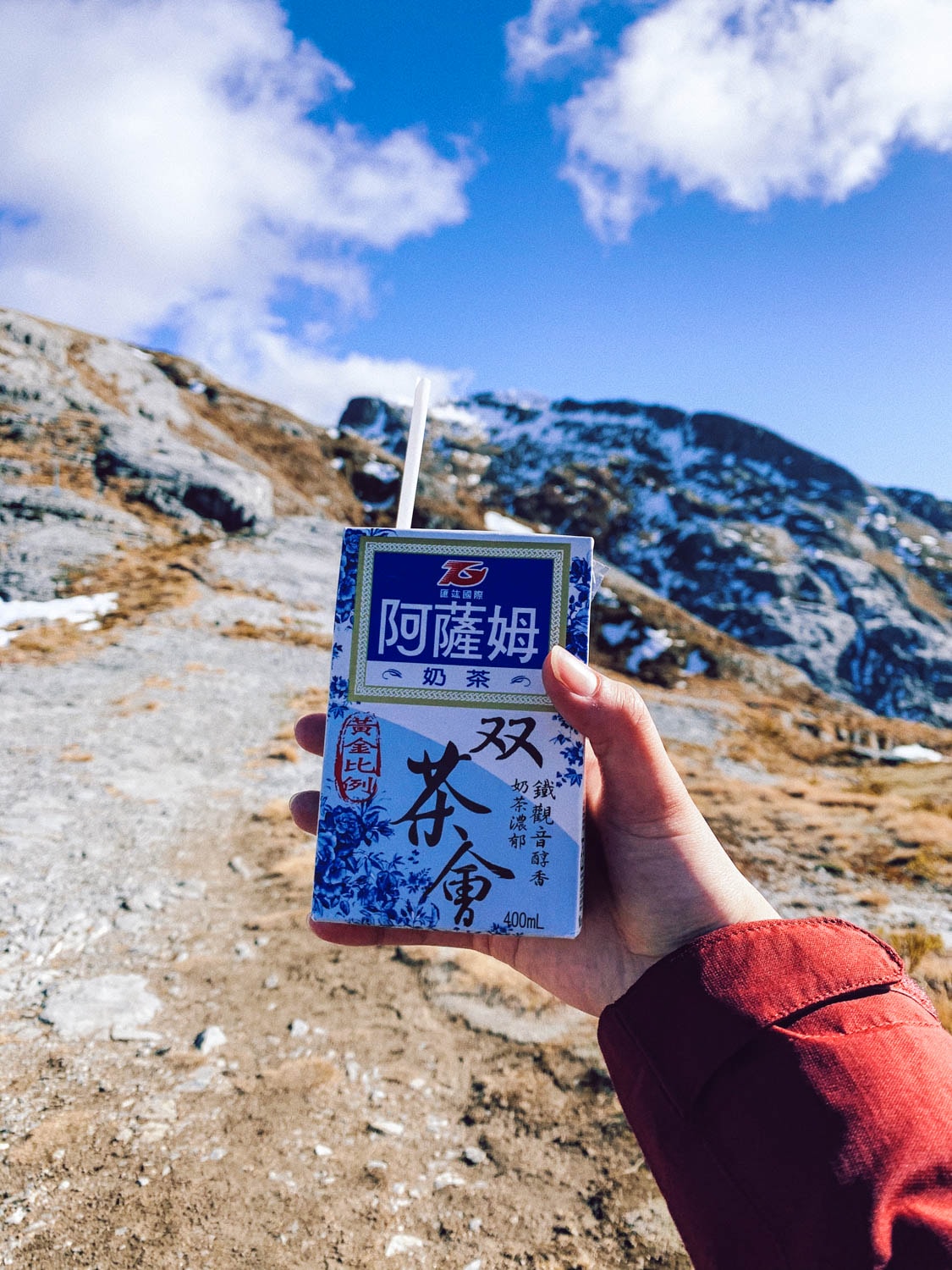 紐西蘭|南島| Mount Arthur Summit Route – Motueka 推薦健行步道 - 第25張圖 Mt Arthur