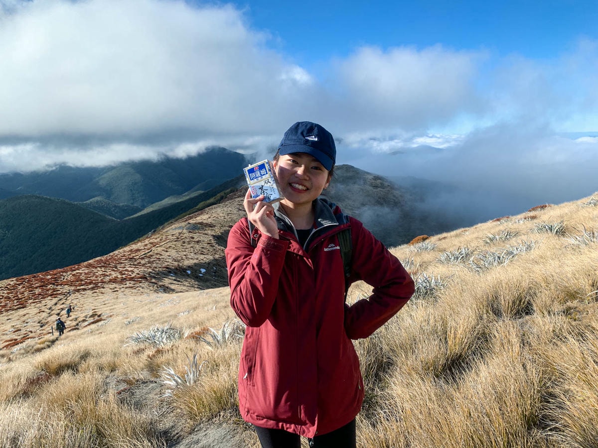 紐西蘭|南島| Mount Arthur Summit Route – Motueka 推薦健行步道 - 第24張圖 Mt Arthur