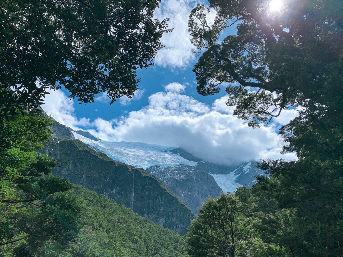 紐西蘭|瓦納卡冰河步道 Rob Roy Glacier Track 攻略、交通、裝備一次看 - 第17張圖 Rob Roy Glacier Track