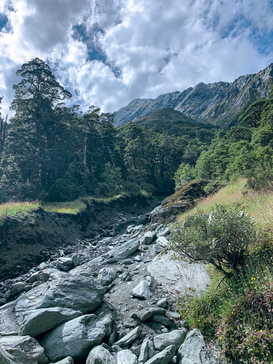 紐西蘭|瓦納卡冰河步道 Rob Roy Glacier Track 攻略、交通、裝備一次看 - 第18張圖 Rob Roy Glacier Track