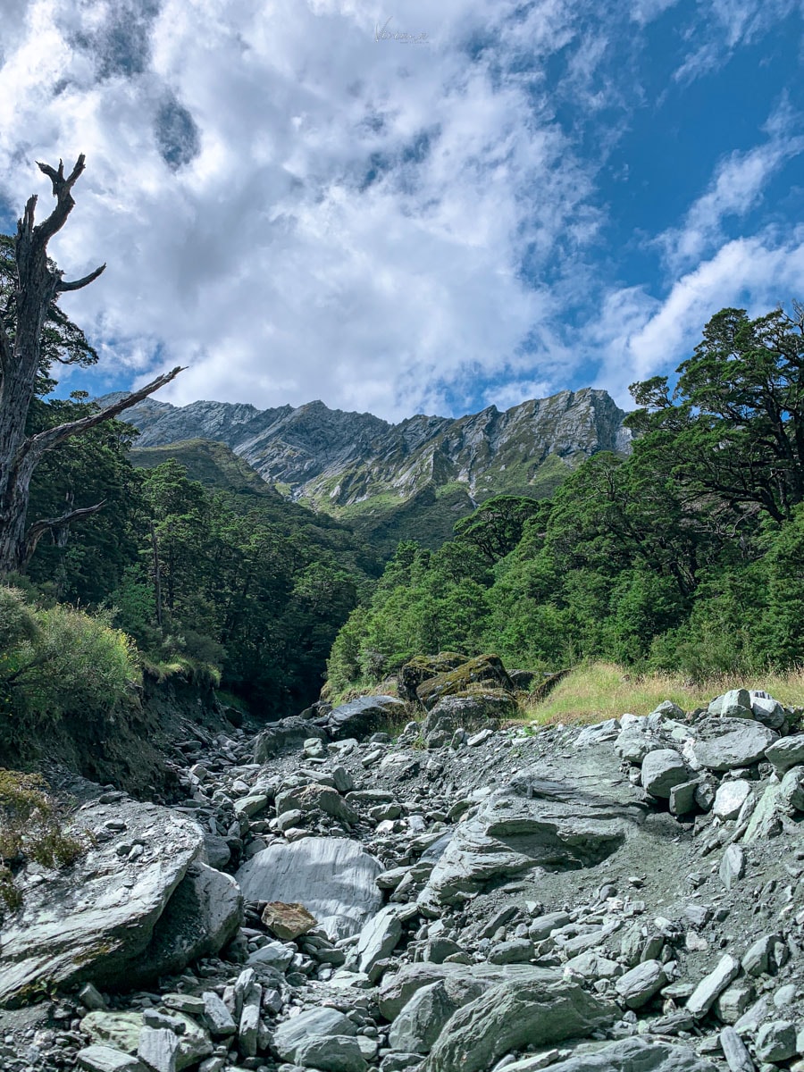 紐西蘭|瓦納卡冰河步道 Rob Roy Glacier Track 攻略、交通、裝備一次看 - 第19張圖 Rob Roy Glacier Track