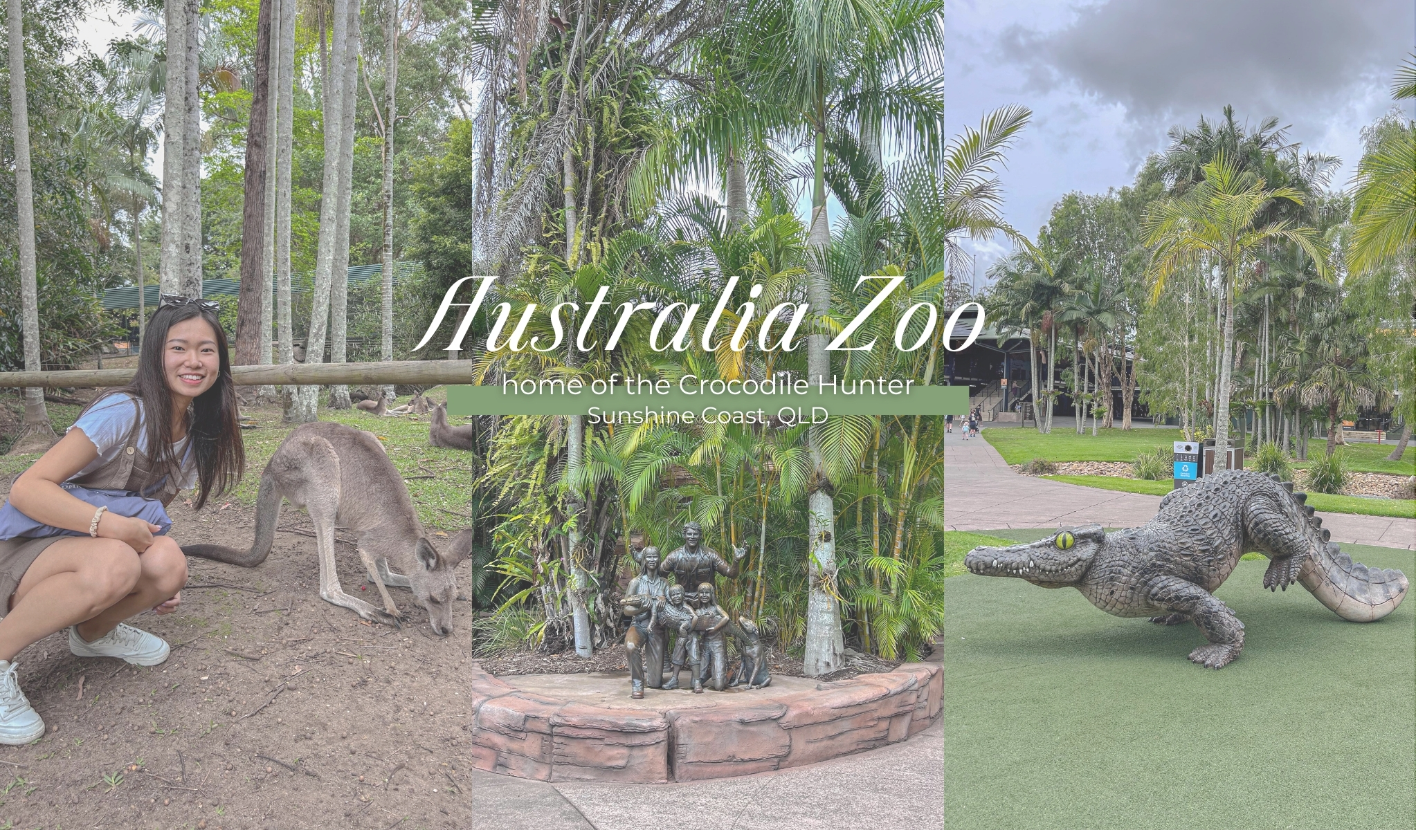 陽光海岸景點 澳洲動物園 Australia Zoo