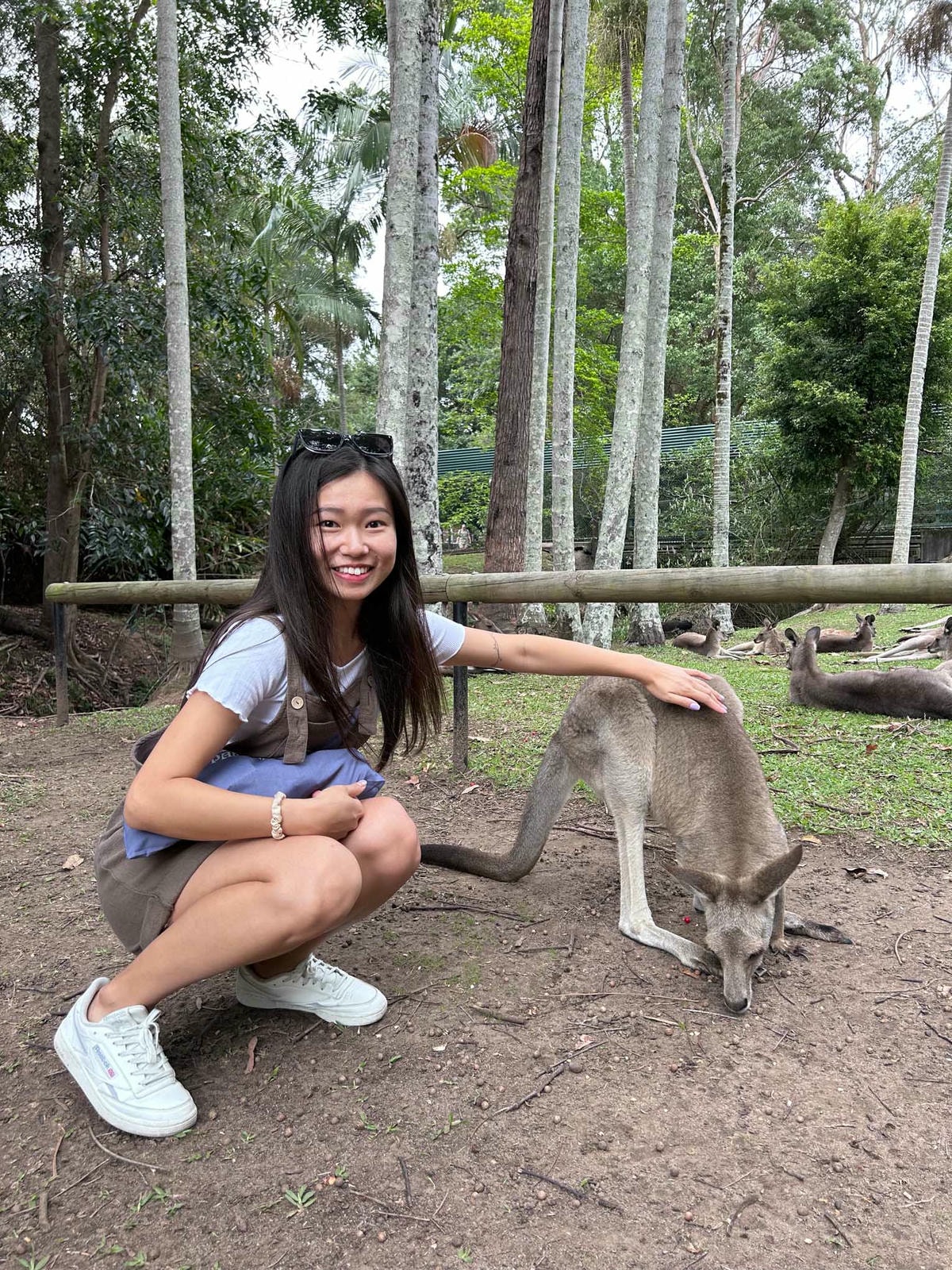 澳洲|昆士蘭|陽光海岸超推薦景點!澳洲動物園:鱷魚先生的精神永流傳 - 第10張圖 Australia Zoo