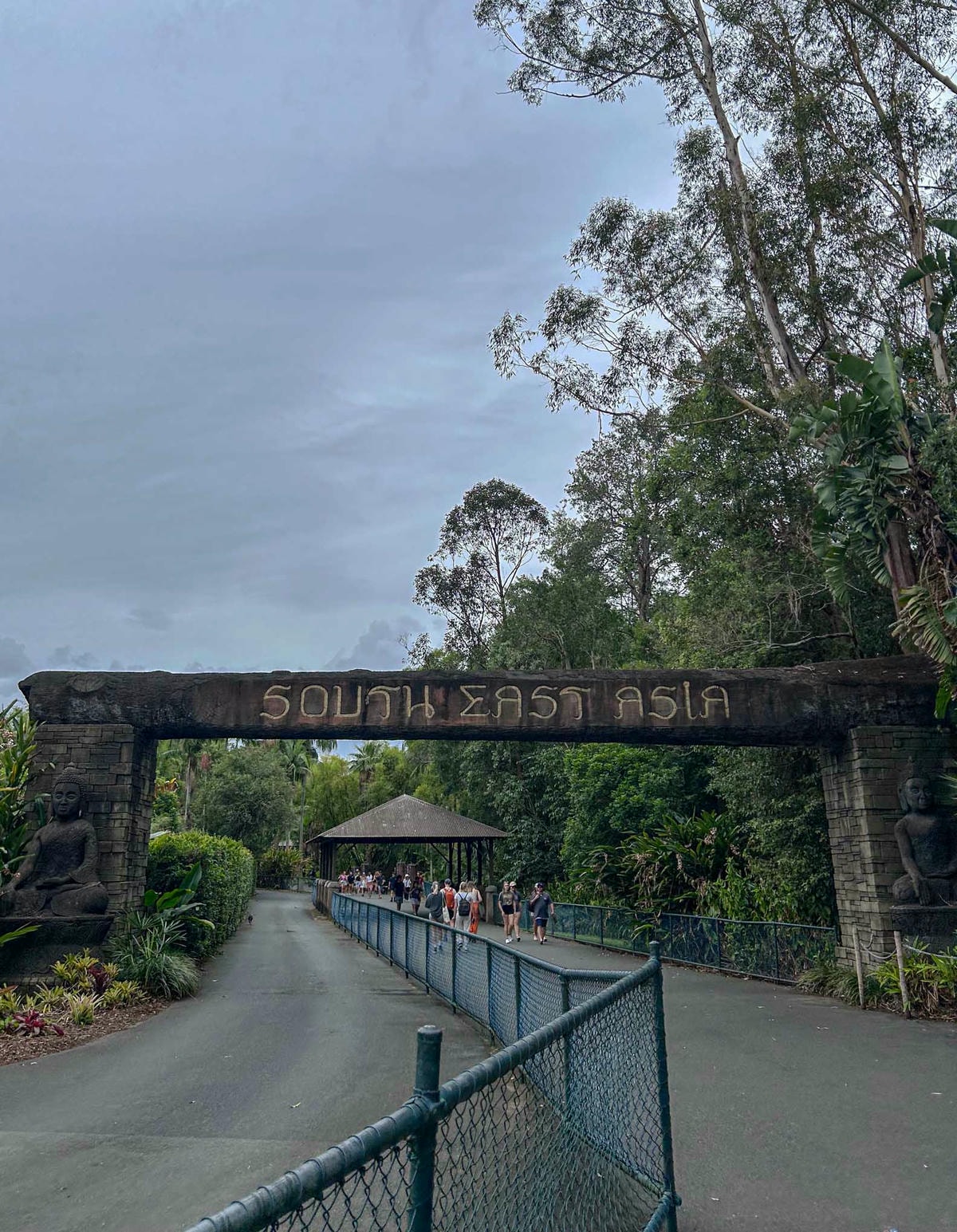 澳洲|昆士蘭|陽光海岸超推薦景點!澳洲動物園:鱷魚先生的精神永流傳 - 第17張圖