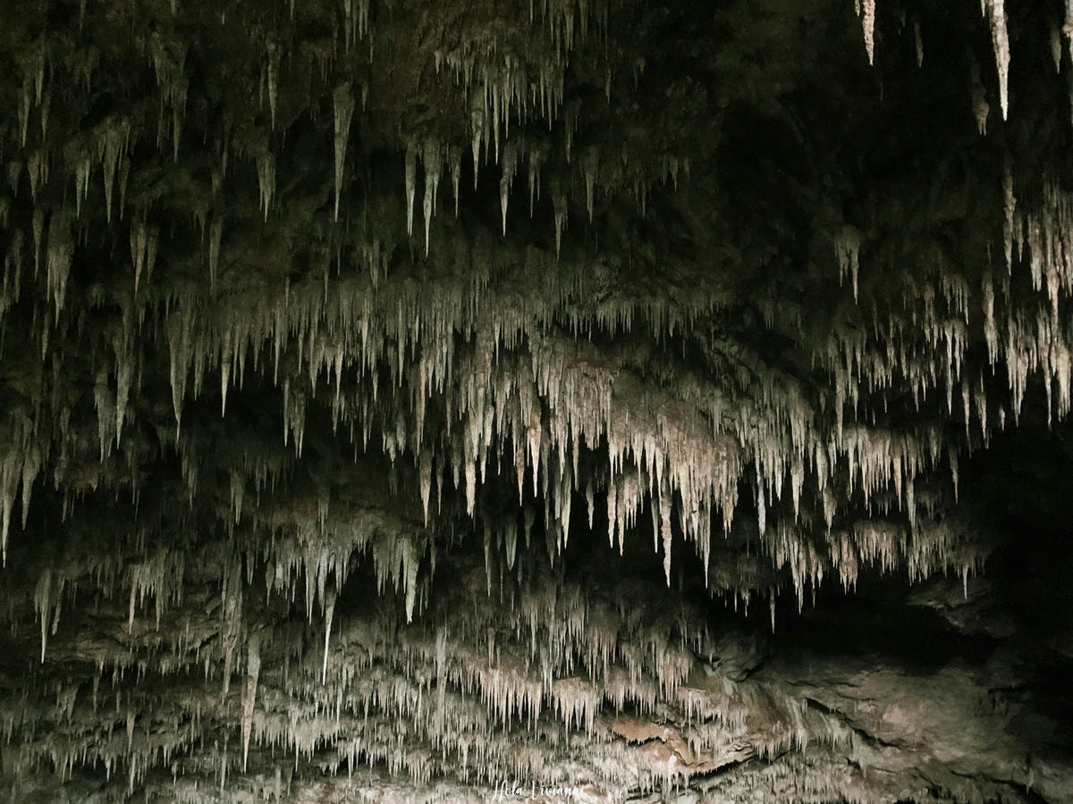 紐西蘭|南島|前進 Golden Bay 一探 Wharariki beach 和鐘乳石洞 ! - 第10張圖 Rawhiti cave