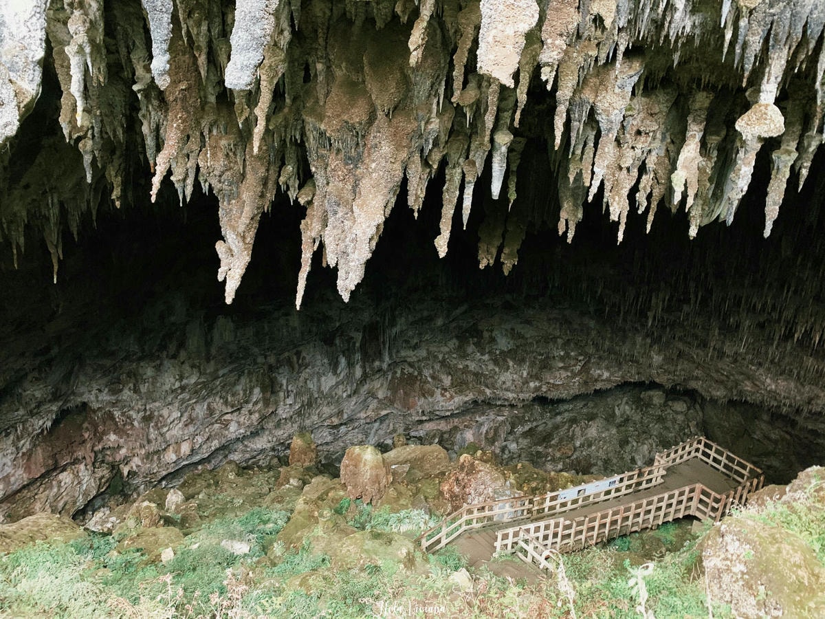 紐西蘭|南島|前進 Golden Bay 一探 Wharariki beach 和鐘乳石洞 ! - 第9張圖 Rawhiti cave